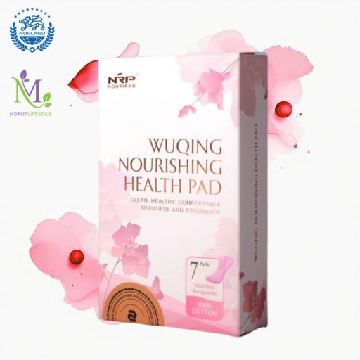 Nourpad Health Pads for Women
